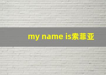 my name is索菲亚